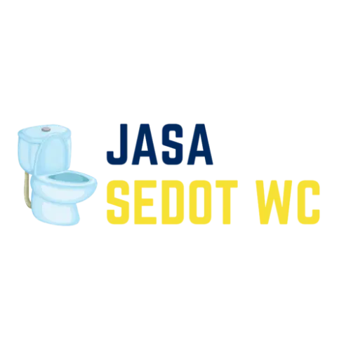 Sedot WC Mampet  di Bau-bau